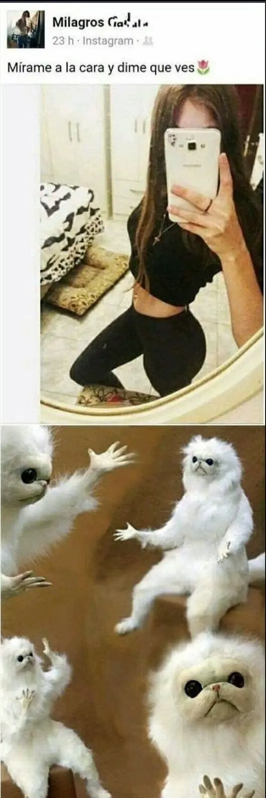 Humor bíblico especial para hoy lunes, emociona tu día