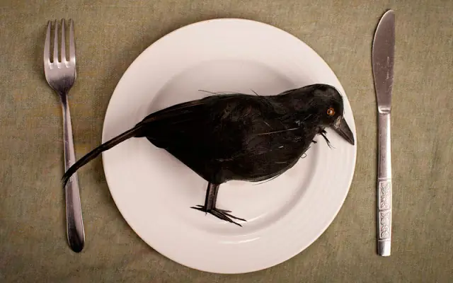 alimentos