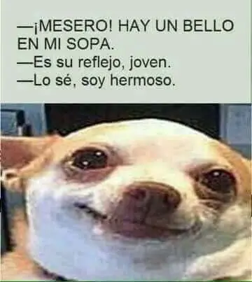 memes