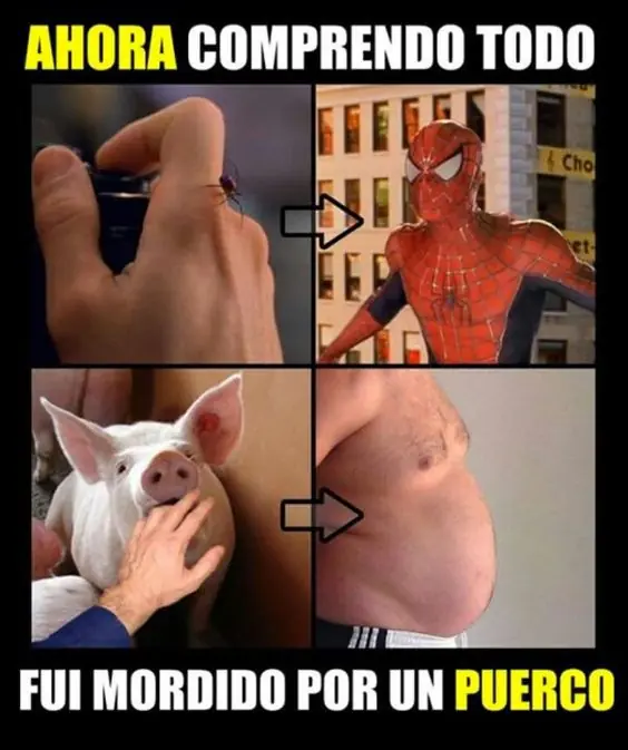 humor