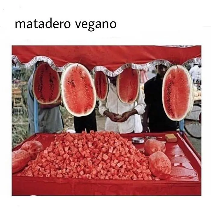 martes