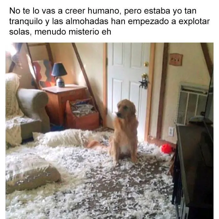martes