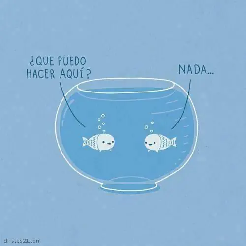 humor