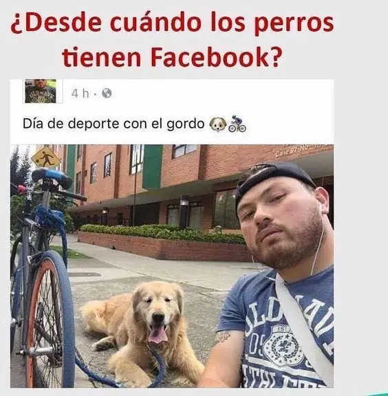 humor