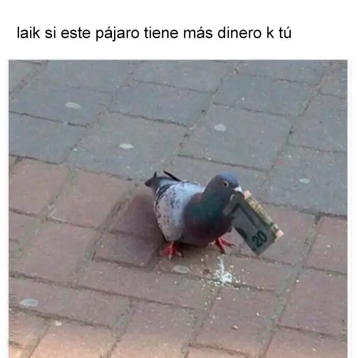 martes