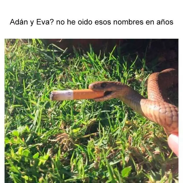 dia del trabajador