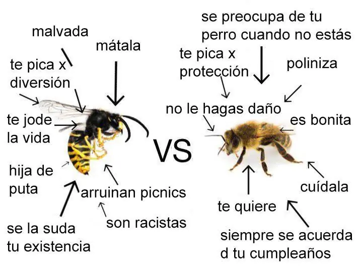 humor