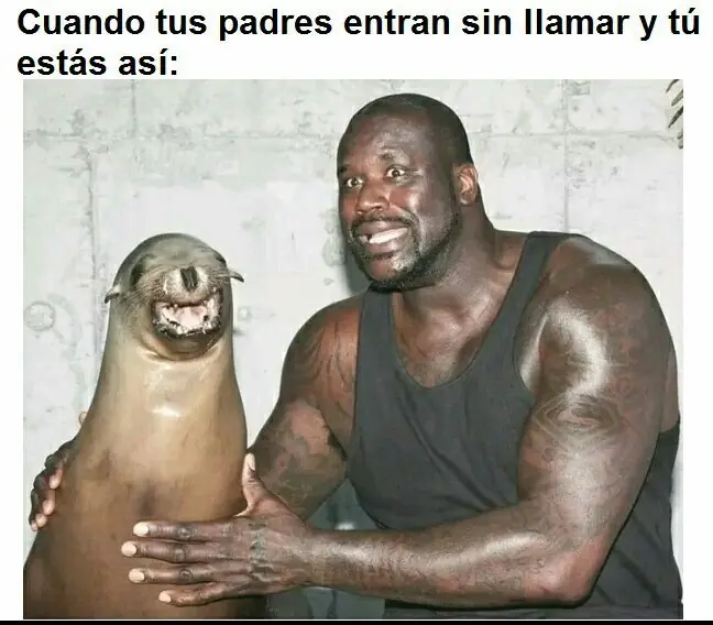 Nuevos