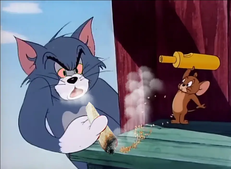 Fui a una juntada con Tom y Jerry y nos pusimos  re duraznos