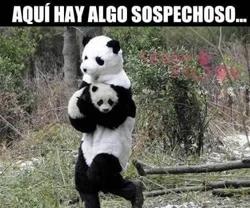 memes