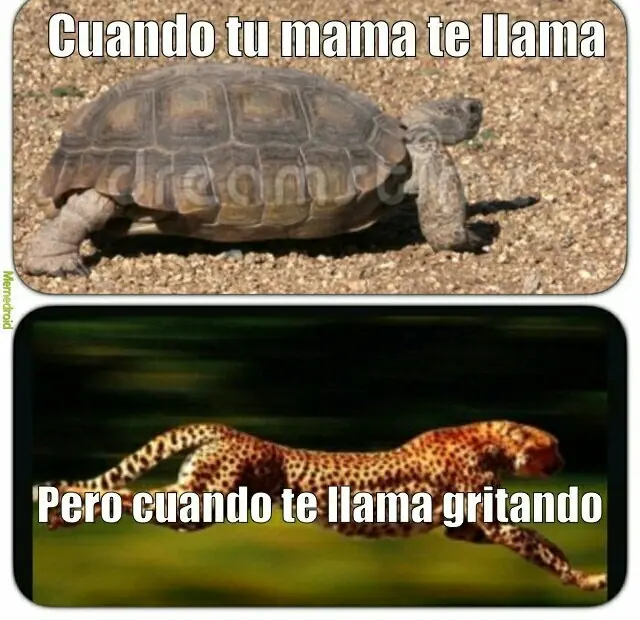 Humor: aburrido? Capsula de memes para este jueves.
