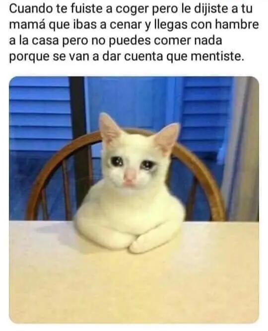 MEMES