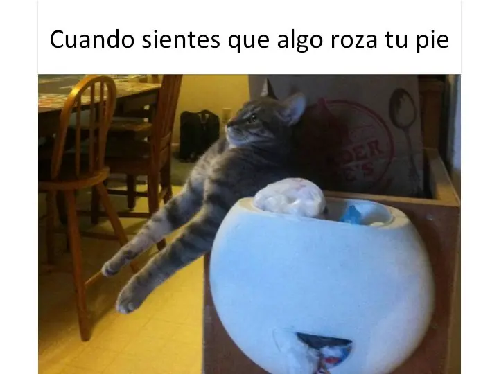 ABURRIDO