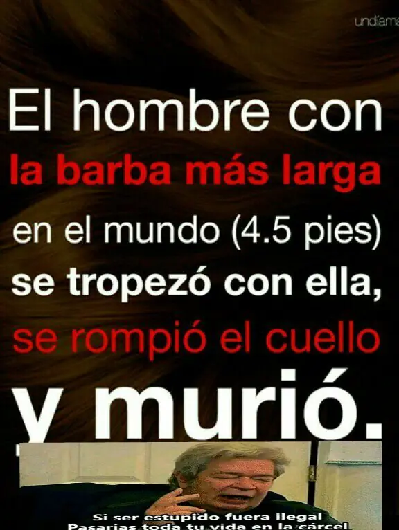 MEMES