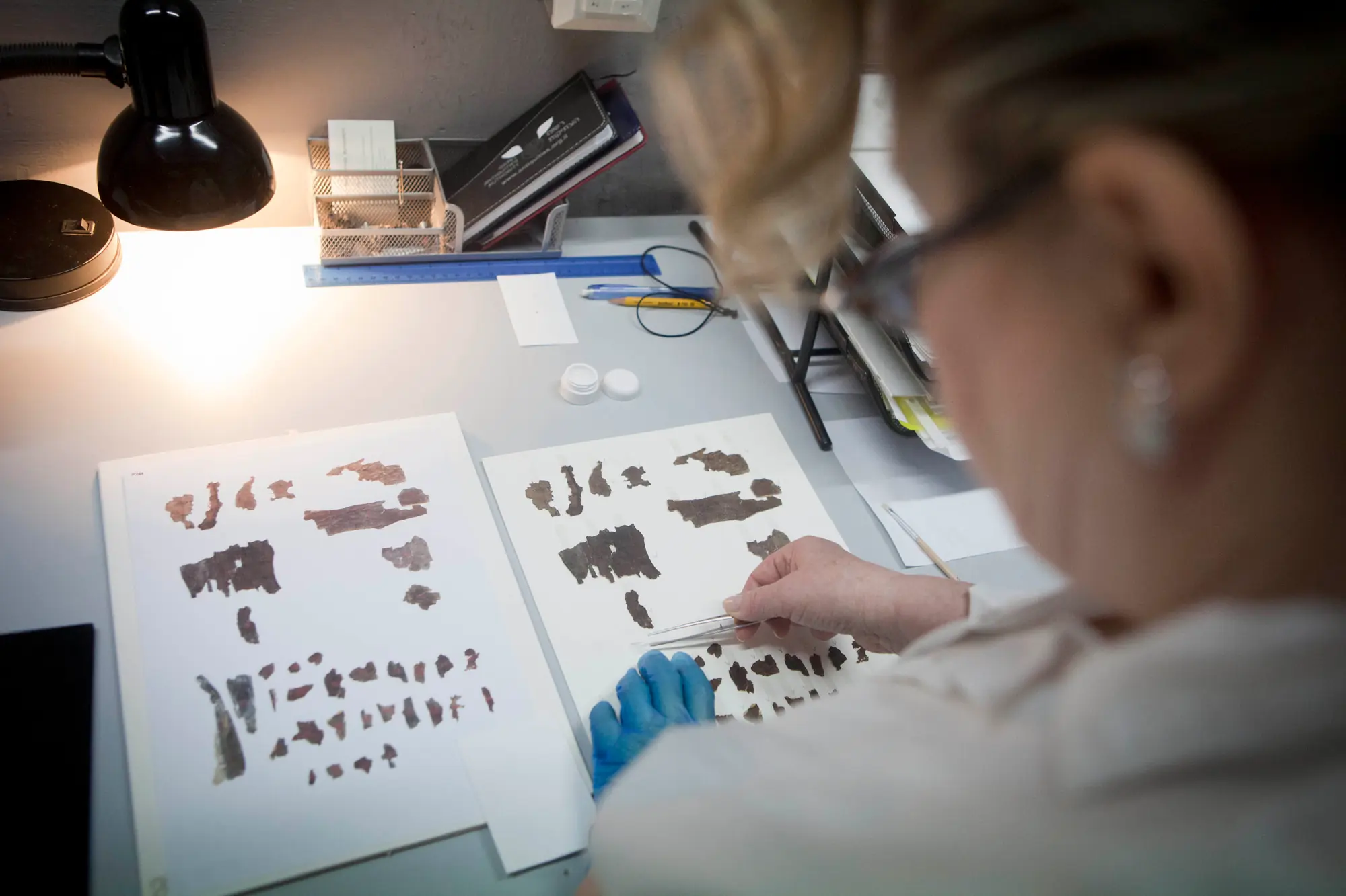 Paleografia