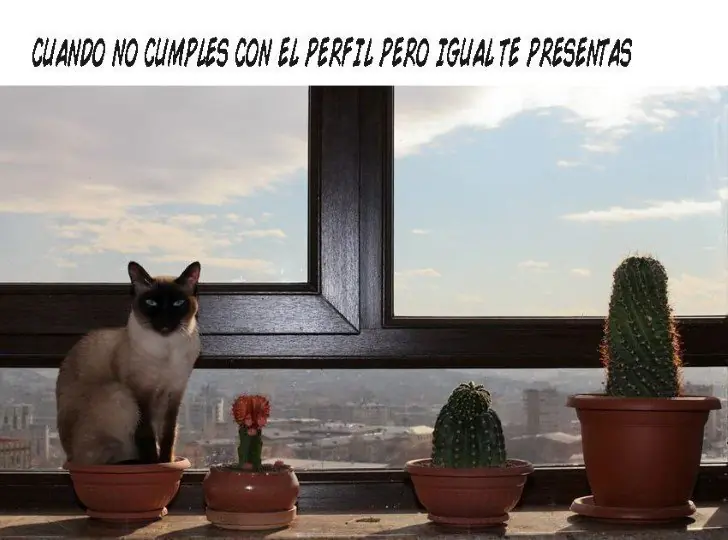 risas a morir