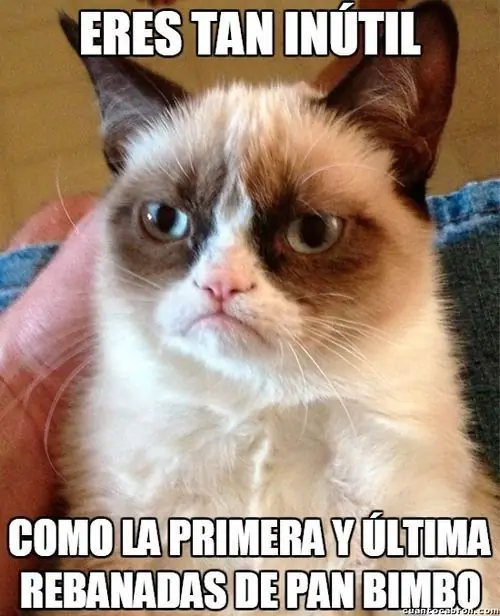 humor