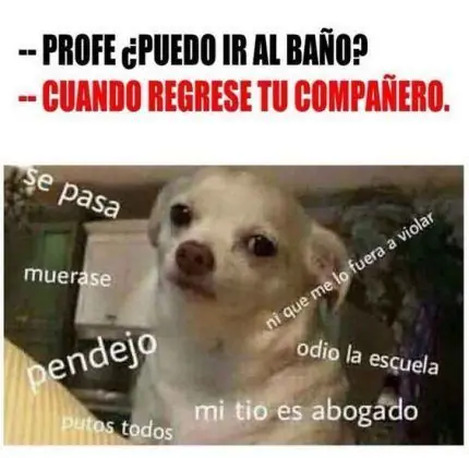 taringa