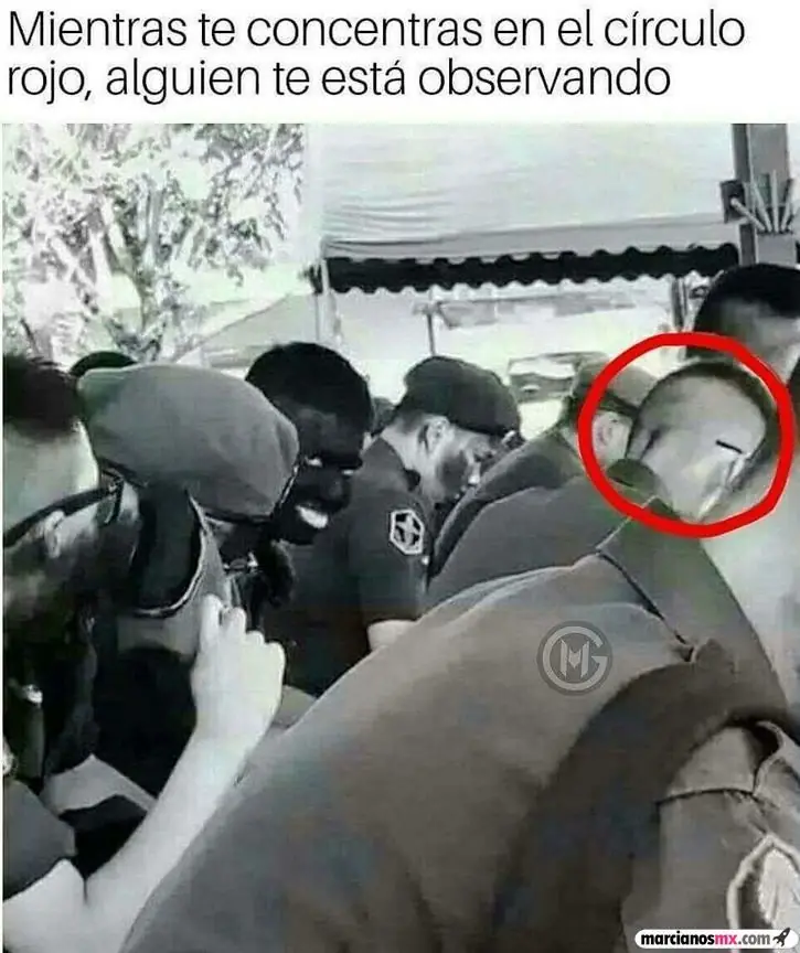 te muestro