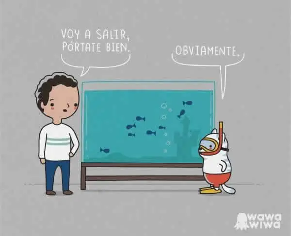 humor