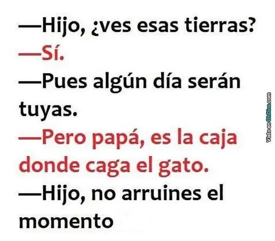 Humor