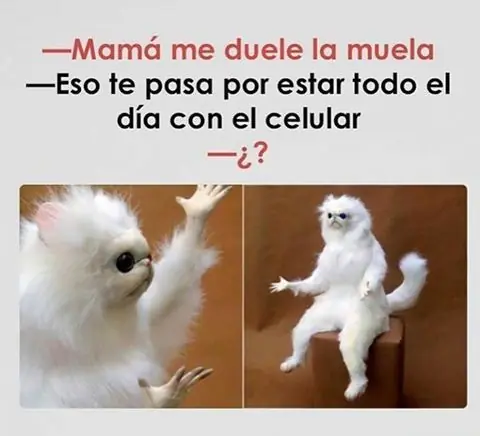 Divertido