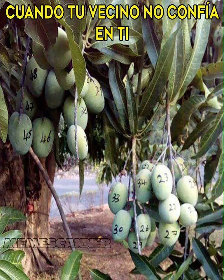humor bueno