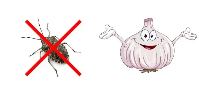 maneras