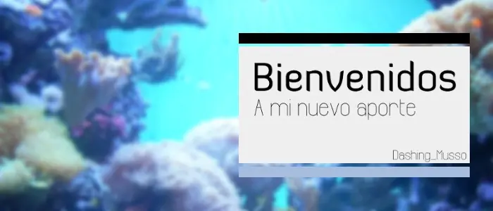 5 consejos para optimizar Ubuntu 12.04/12.10