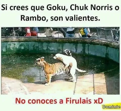humor bueno