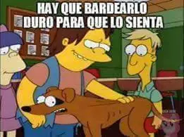 Pack de memes #2
