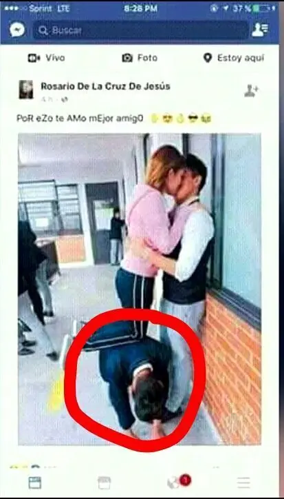 Los mejores Momos De la semana