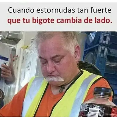 memes
