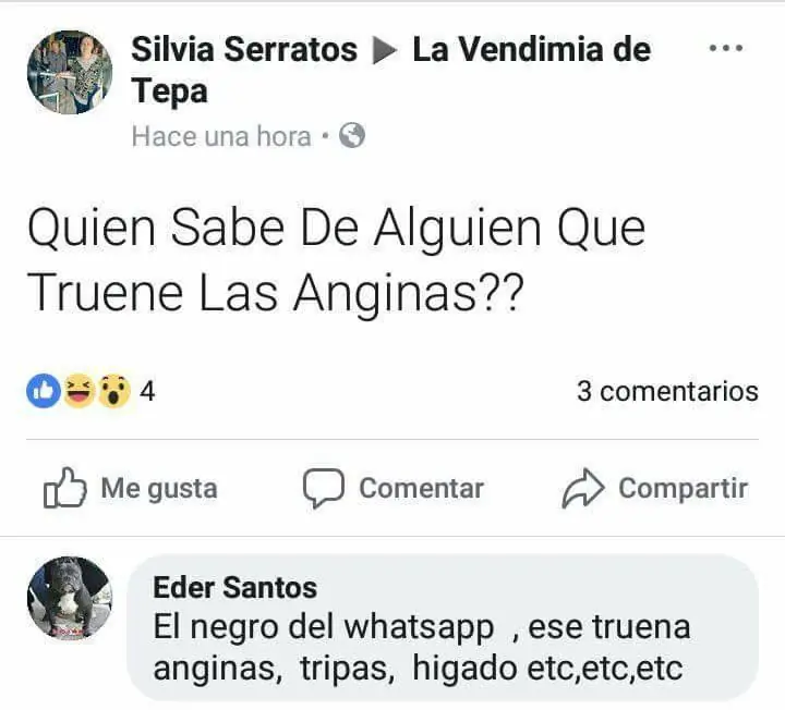 humor