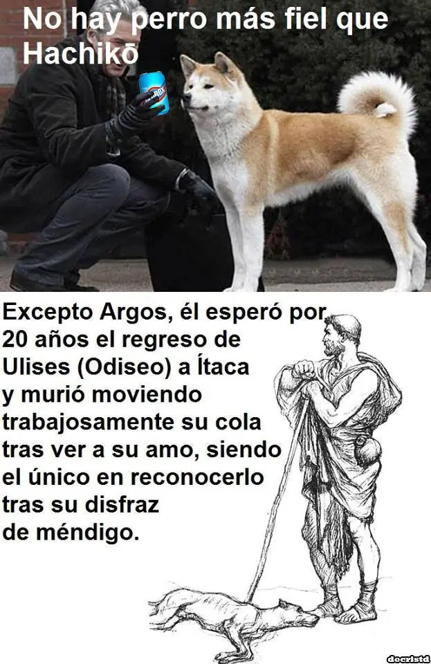 Los mejores Momos De la semana