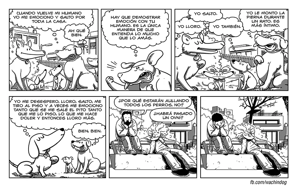 Corré, Wachín! Webcomic canino