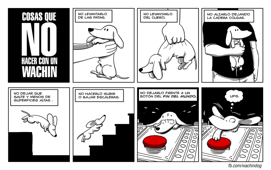 humor