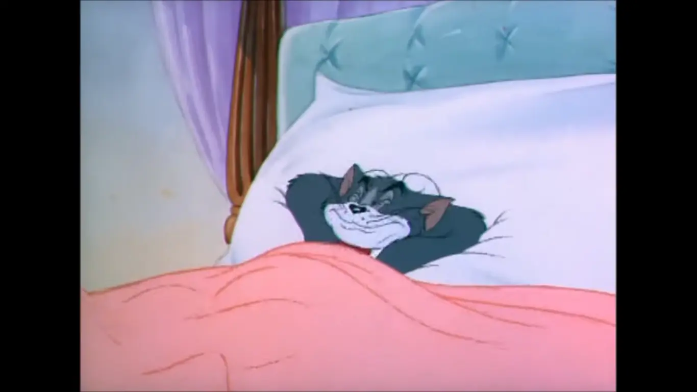 Tom y Jerry hicieron una fiesta y terminaron a Full