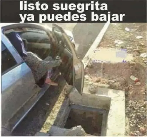 suegra