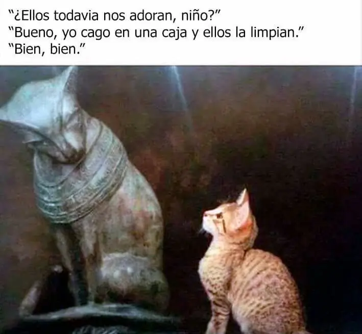 MEJOR