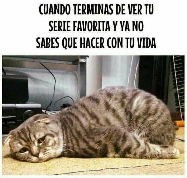 SEMANA