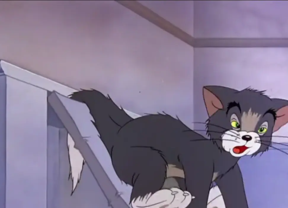 Tom y Jerry hicieron una fiesta y terminaron a Full