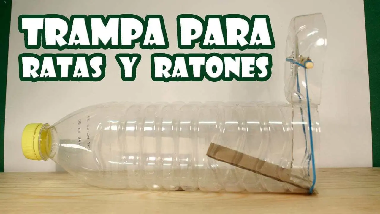 ratonera