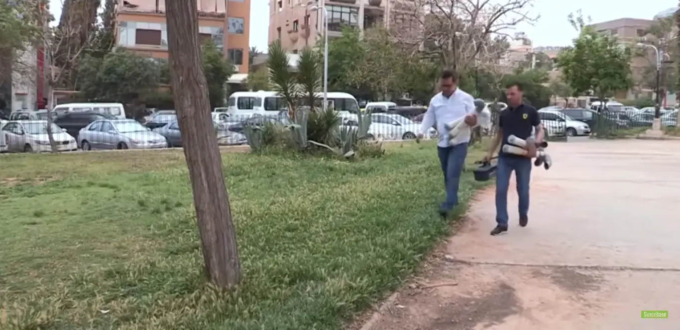 Voluntarios sirios instalan tubos para alimentar gatos