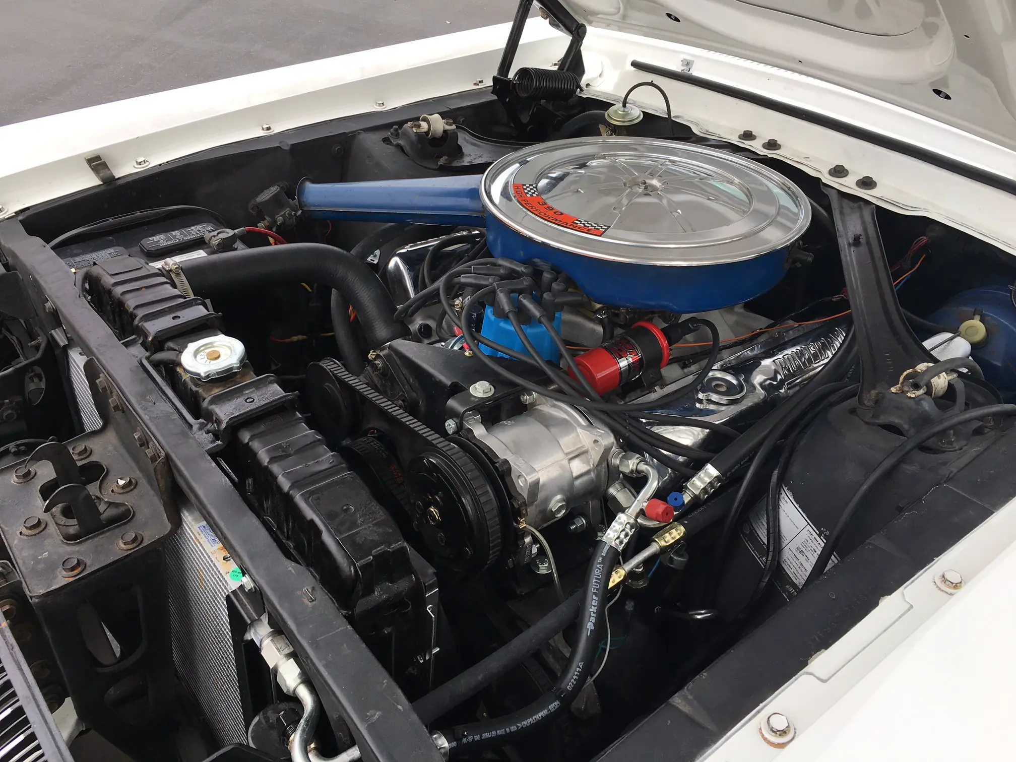 Conoce al Mercury Cougar