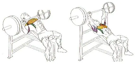 fuerza