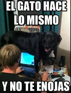 Humor: Memes repiola que te harán estallar de risa. Pasate!