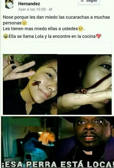 Humor