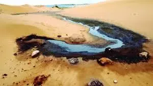 Ecologistas: Hipocresía en su máximo nivel