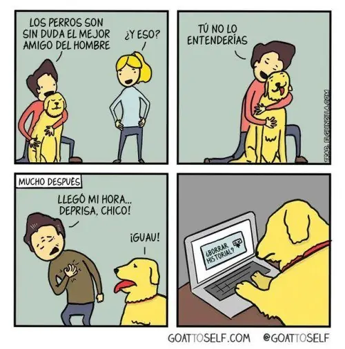 Humor para que no duela tanto la vida. Vol. 186